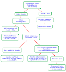 43 Clean Benzodiazepine Metabolism Chart