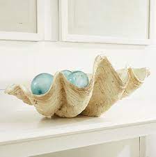 Design your everyday with clam shell cards you'll love to send to friends and family. Love This Driven By Decor Decorating On The Half Shell Clamshells In Home Decor Giant Clam Giant Clam Shell Coastal Decor