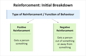 functions of behaviour educate autism