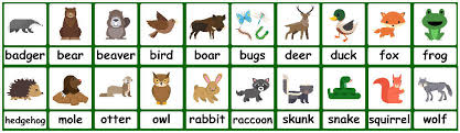 Forest Animal Flashcards Free Forest Background