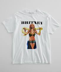 Image result for britney spears python