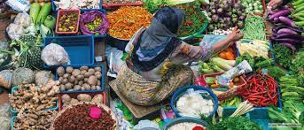 This chapter focuses on the responses of smallholder peasants, with an emphasis on rural women, towards the kinds of changes occurring in the countryside. Rural Development