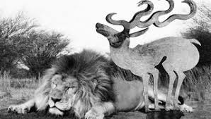 Bildergebnis für Florian Baudrexel & Jens Ullrich