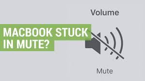 Click , then enter the admin name and password again. Apple Macbook Stuck On Mute Specialist Apple Guides