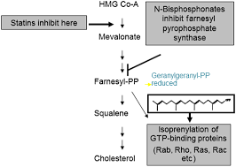 Image result for Bisphosphonates