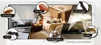 Our bedbug exterminator is skilled at identifying and effectively treating a bed bug infestation. Lightoller Pest Control