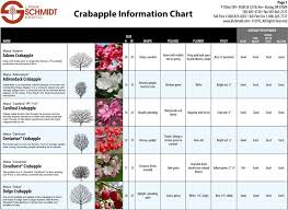 Crabapple Information Chart Pdf Free Download
