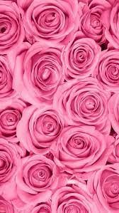 Tap and hold on an empty area. Rose Pink Wallpapers Top Free Rose Pink Backgrounds Wallpaperaccess