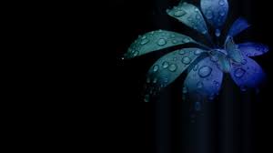 Cool Desktop Anime Wallpapers Black Background Wallpaper Black Wallpaper Black Hd Wallpaper