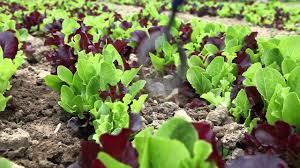 Maybe you would like to learn more about one of these? Circlehoe Youtube