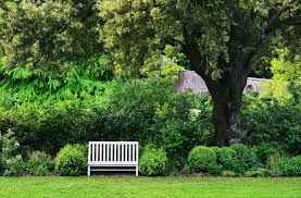 Eine solide planung ihres gartens vereinfacht den weg von der idee zur umsetzung. Hecke Sichtschutz Bank Baum Franks Kleiner Garten Willkommen In Franks Kleinem Garten