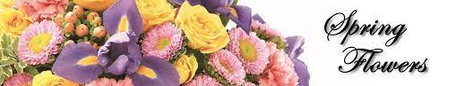 Same day delivery · 20% off all items · from $19.99 Januar Bakers Floral Omaha Nebraska