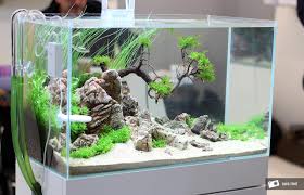 Aquarium Mini Dengan Lampu Ikan Tropis Ikan Air Tawar