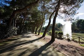 The flames have reached the houses an five people are reported to be hoslpitalized so far. D Incecco De Renzis Su Nuovo Pan Della Pineta Dannunziata