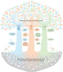 Image result for Nile Green 1964 GM