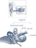 Image result
