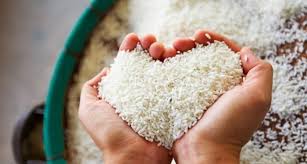 Untuk bisa membayar zakat fitrah tersebut yang di keluarkan sebelum shalat i'ed. Niat Bayar Zakat Fitrah Untuk Diri Sendiri Dan Keluarga