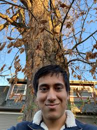 So happy to have found this group. I know this is an east coast specific  restoration effort, but wanted to share a photo of an old chestnut tree we  had at our