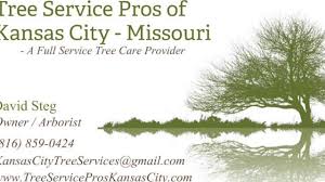 Serving washington, union, pacific, and st. Hiring An Arborist Tree Service Pros Of Kansas City Missouri
