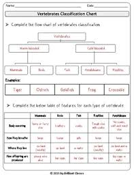 Animal Classification Vertebrates Invertebrates Flow