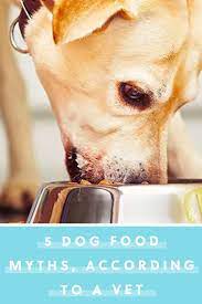 5 Dog Food Myths That Aren T True According To A Vet Food Myths Dog Food Recipes Dogs