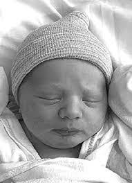 Derek Wiener's Instagram, Twitter & Facebook