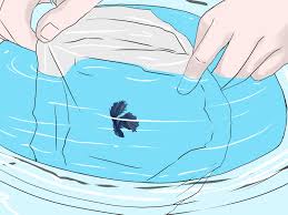 How To Clean A Betta Fish Bowl Betta Fish Bowl Betta Fish Betta Fish Care