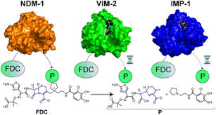Image result for Cefiderocol