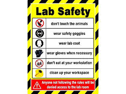 See more ideas about safety posters, workplace safety, health and safety poster. Lab Safety Poster Sign Board Sun Board Amazon In Office Products