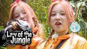 ❤subscribe to my main channel Law Of The Jungle Episode 434 English Sub Dramacool