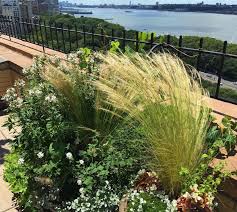 Maybe you would like to learn more about one of these? Nyc Landscape Design And Construction Drip Irrigation Outdoor Lighting Garden Design