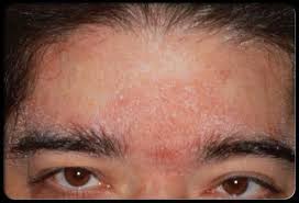 Pin On Vertical Aquaponics System Design