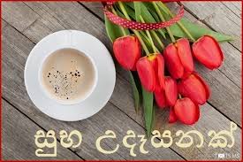 See more ideas about jokes photos, quotes, jokes. Sinhala Good Morning Sms Wishes Images For Facebook Whatsapp Picture Sms Txts Ms