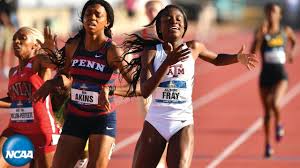women s 800m at 2019 ncaa outdoor track