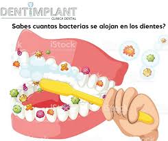 Dentimplant - ¿Qué bacterias tenemos en la boca? Desde que nacemos, las  bacterias empiezan a colonizar nuestra cavidad oral. Es importante tener  una buena higiene dental para mantener a raya los microorganismos