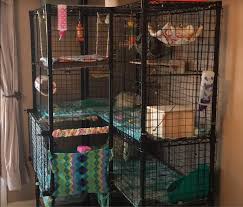 He loved his time out of his with chinchillas you have to be very careful which materials you use as they like to chew on. How To Build A Chinchilla Cage Make A Homemade Chinchilla Cage Chinchilla Stuff