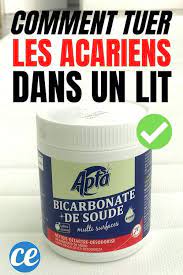 comment eliminer les acariens dans votre matelas definitivement les acariens acariens allergie aux acariens