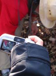 66 Square Feet (Plus): Foraging with Steve Brill