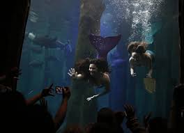 Sirene was launched in 1994. Le Immagini Della Sirena Che Aiuta I Bambini Disabili In Brasile Tpi