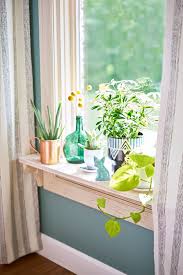 Bring The Outdoors In A Windowsill Is The Perfect Spot For A Mini Garden Display Bright Plants In Pretty Colorful Window Sill Decor Decor Window Ledge Decor