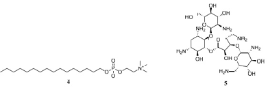 Image result for Pentas bussei