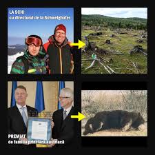 Campania psd este gândită ca o campanie anti iohannis, la un nivel extrem de jos. Psd Atac La Klaus Iohannis Cu Colaje Foto Pe Tema ImpuÈ™cÄƒrii Ursului Arthur Epic Fail Psd A GreÈ™it Poza