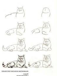Katze Bleistiftzeichnung Pinterest Why6947 Zeichnungen Katze Zeichnen Umrisszeichnungen