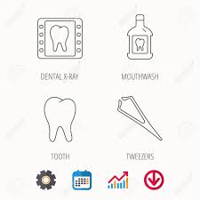 Mouthwash Tooth And Dental X Ray Icons Tweezers Linear Sign