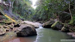 Cantando 2020, bienvenidos a bordo, periodismo para todos, telenoche, corte y confección, el. Puerto Rico Day Trips Travel Guide