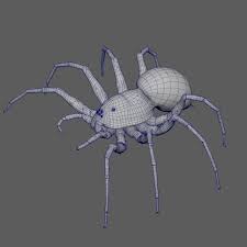 Spider 3d Model Flippednormals In 2020 Spider 3d Model Model