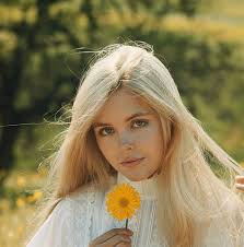 123.400+ Flor Rubio Fotografías de stock, fotos e imágenes libres de  derechos