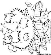 Malvorlagen Herbst Igel 1ausmalbilder Com Fensterbilder Herbst Vorlagen Kostenlos Malvorlagen Herbst Fensterbilder Herbst Vorlagen