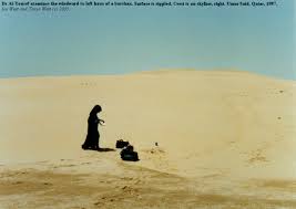 Image result for Yellow 1986 UMM