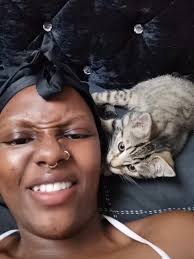 Katze Nuckelt An Ohr